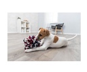 Dog Activity Sniffing Ball