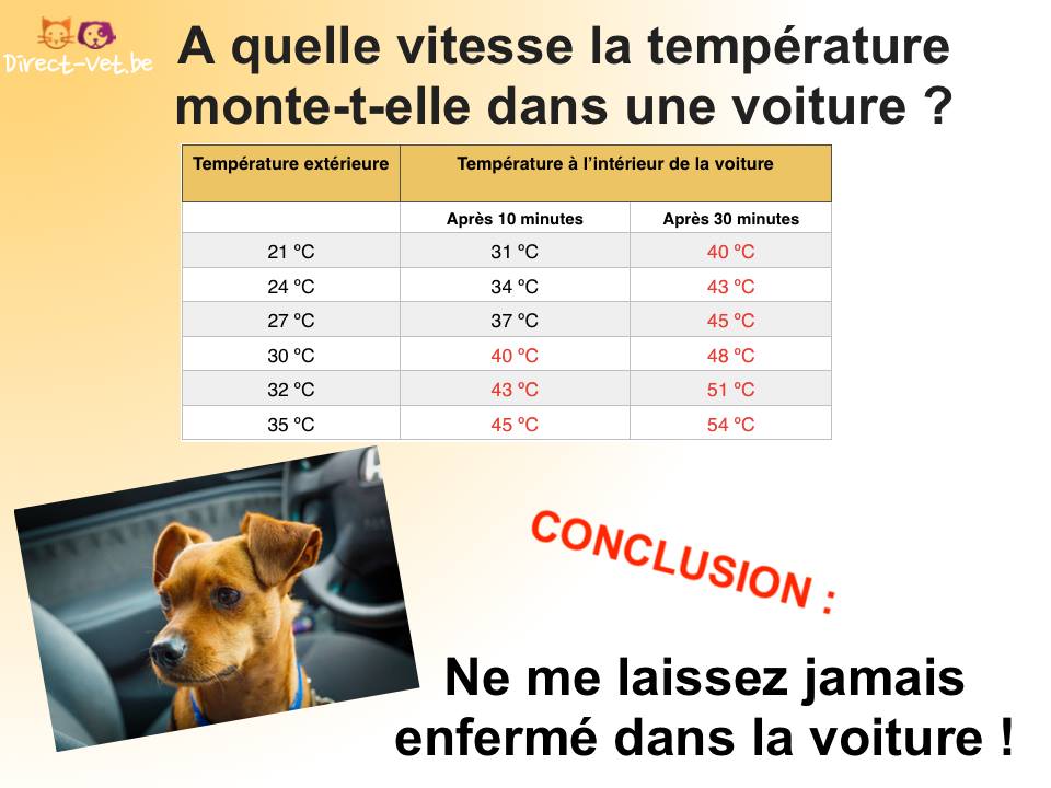 Couverture 3x4