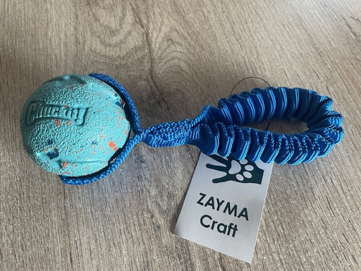 [Zayma006] Tug Anneau Chuckit Rebounce Ball – Couleur Bleu